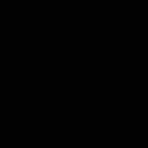 Meet your Posher, Reagan